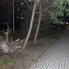 zdjęcie nr 14