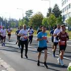 zdjęcie nr 52