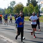 zdjęcie nr 142