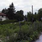 Fotka nr 3 z 11