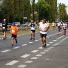 zdjęcie nr 247