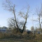 zdjęcie nr 8