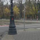 zdjęcie nr 12