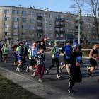 zdjęcie nr 148