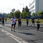 zdjęcie nr 176