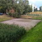Fotka nr 1 z 16
