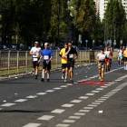 zdjęcie nr 169