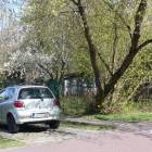 Fotka nr 2 z 5