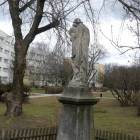 zdjęcie nr 12