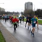 zdjęcie nr 172