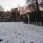 Fotka nr 2 z 3