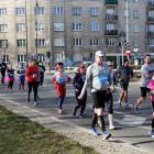zdjęcie nr 322