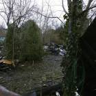 zdjęcie nr 8