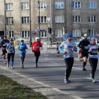 zdjęcie nr 352