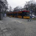 Fotka nr 5 z 6