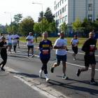 zdjęcie nr 170