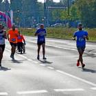 zdjęcie nr 217