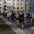 zdjęcie nr 55