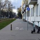Fotka nr 1 z 8