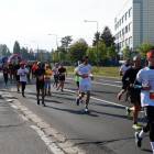 zdjęcie nr 102