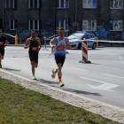 zdjęcie nr 8