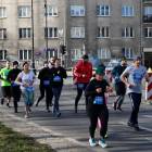 zdjęcie nr 333