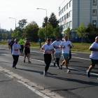 zdjęcie nr 171