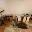 zdjęcie nr 