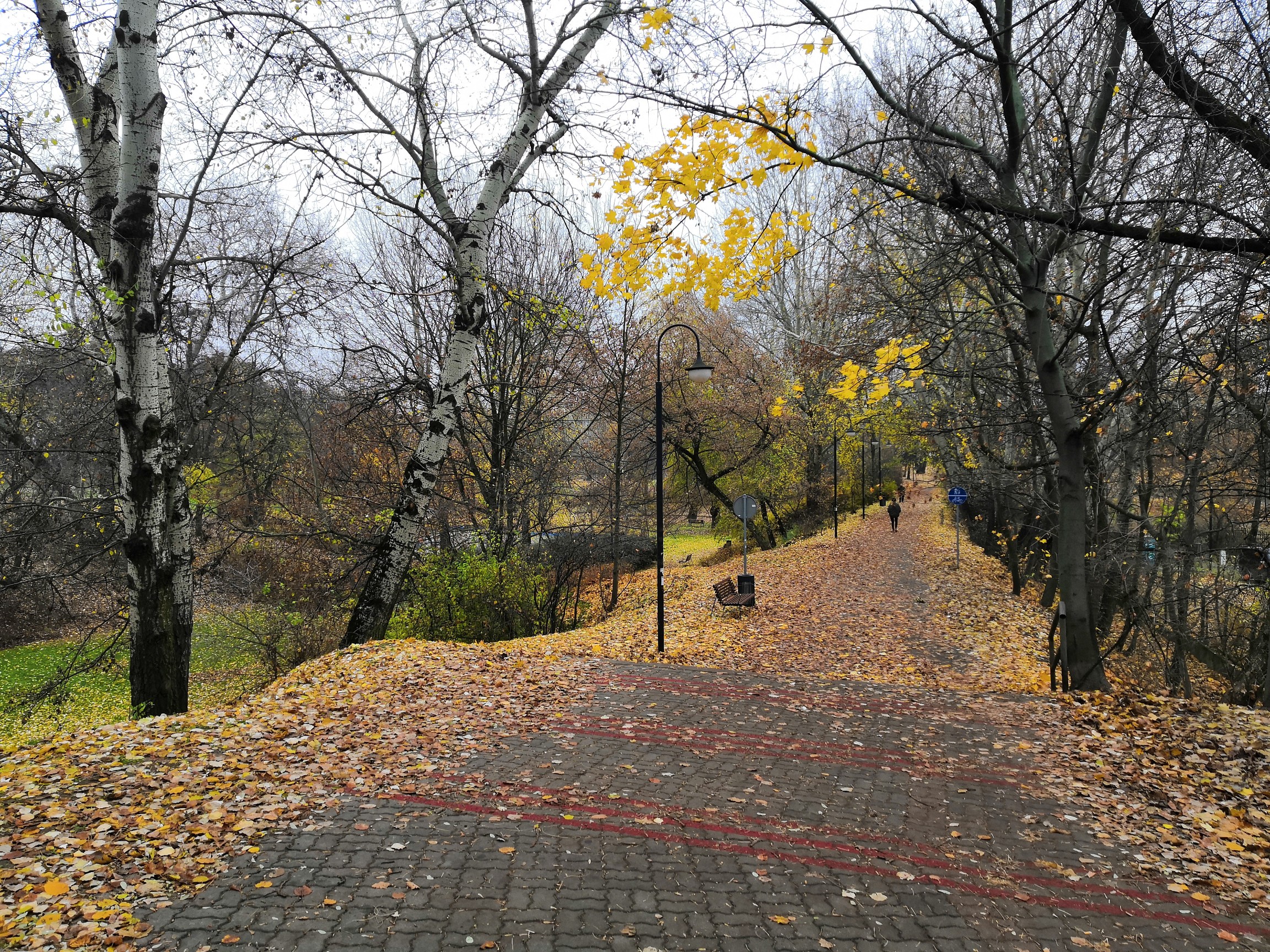 Zdjęcie: Żoliborz wiadomości Warszawa Żoliborz Dzielnica Warszawy Portal Żoliborza iZoliborz