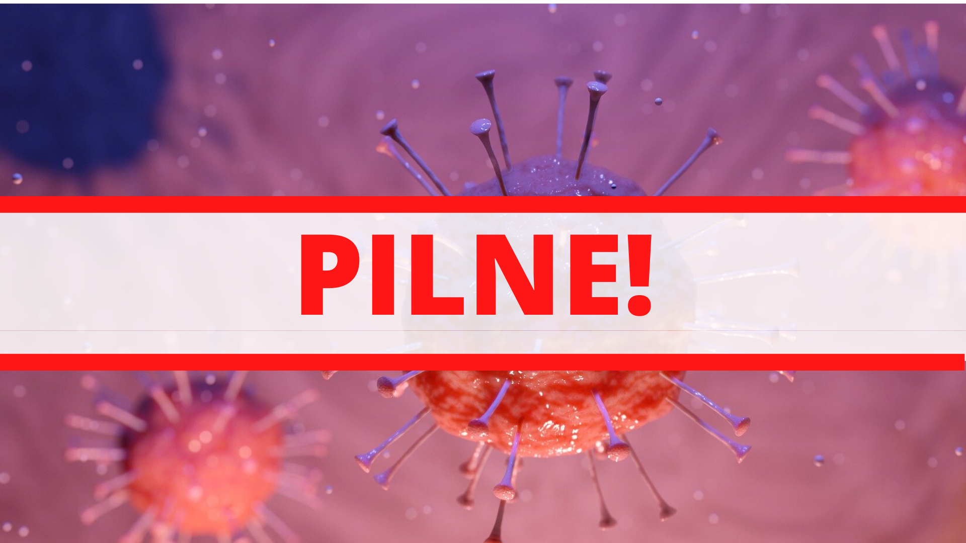 Zdjęcie: Żoliborz wiadomości Warszawa Żoliborz Dzielnica Warszawy Portal Żoliborza iZoliborz