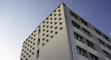Jerzyki zrobiły robotę