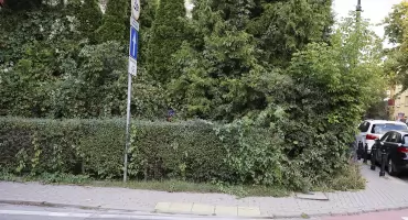 Zielone ulice Żoliborza