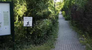 Zakaz poruszania się rowerami w parkach