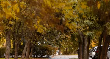 Żoliborz zyskuje DWA nowe oblicza!