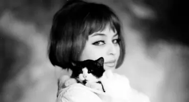 Żoliborz stanie się jeszcze piękniejszy – mural Kaliny Jędrusik zaskoczy wszystkich!